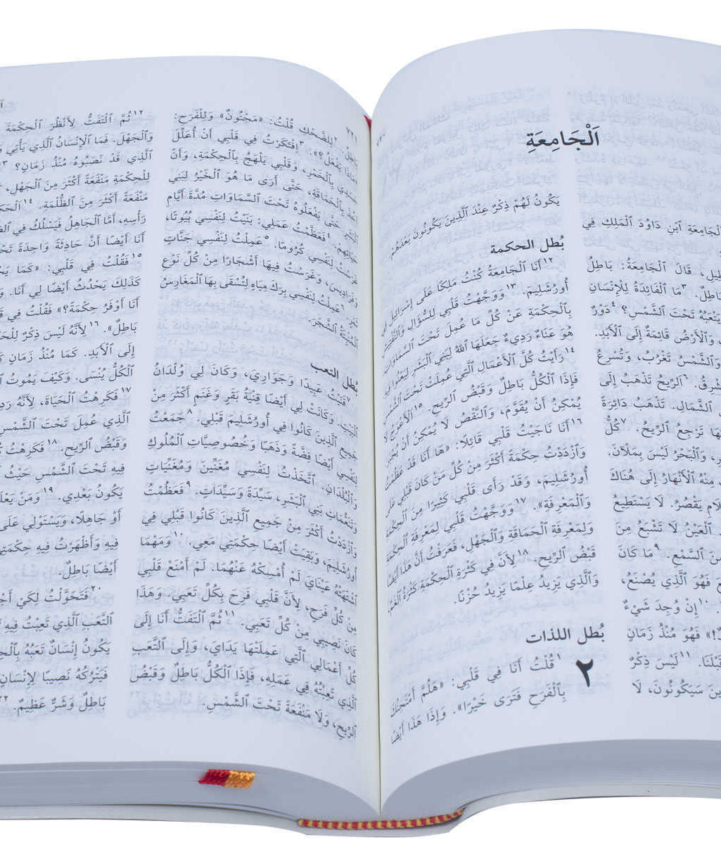 42NVD كتاب مقدس خط متوسط عمودين