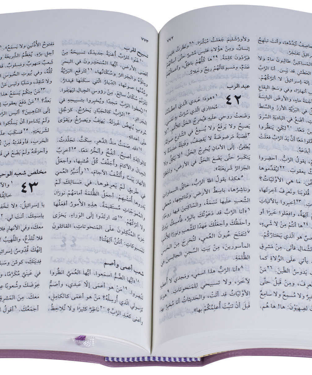 42NVD كتاب مقدس خط متوسط عمودين