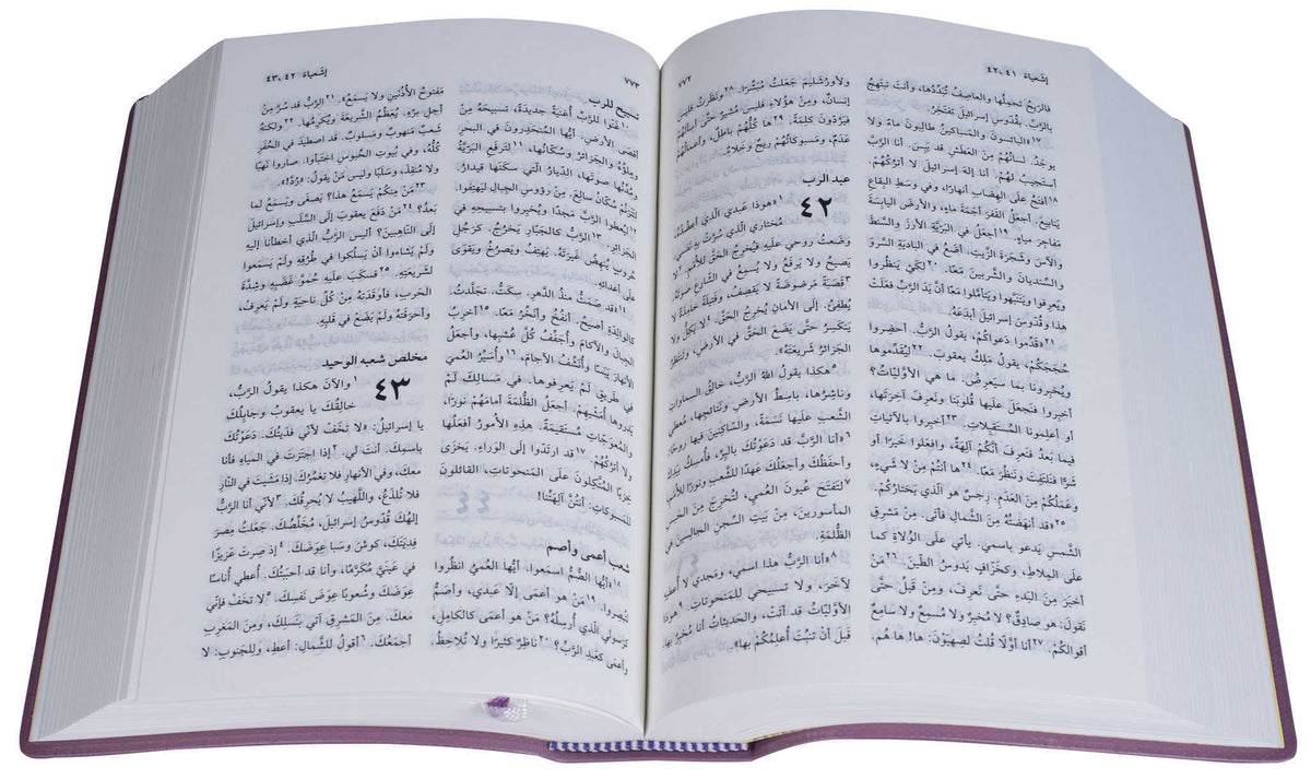42NVD كتاب مقدس خط متوسط عمودين