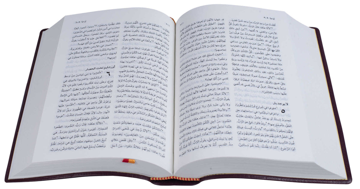 42NVD كتاب مقدس خط متوسط عمودين