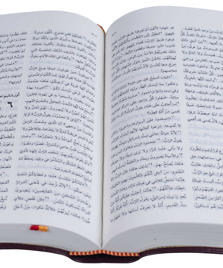 42NVD كتاب مقدس خط متوسط عمودين