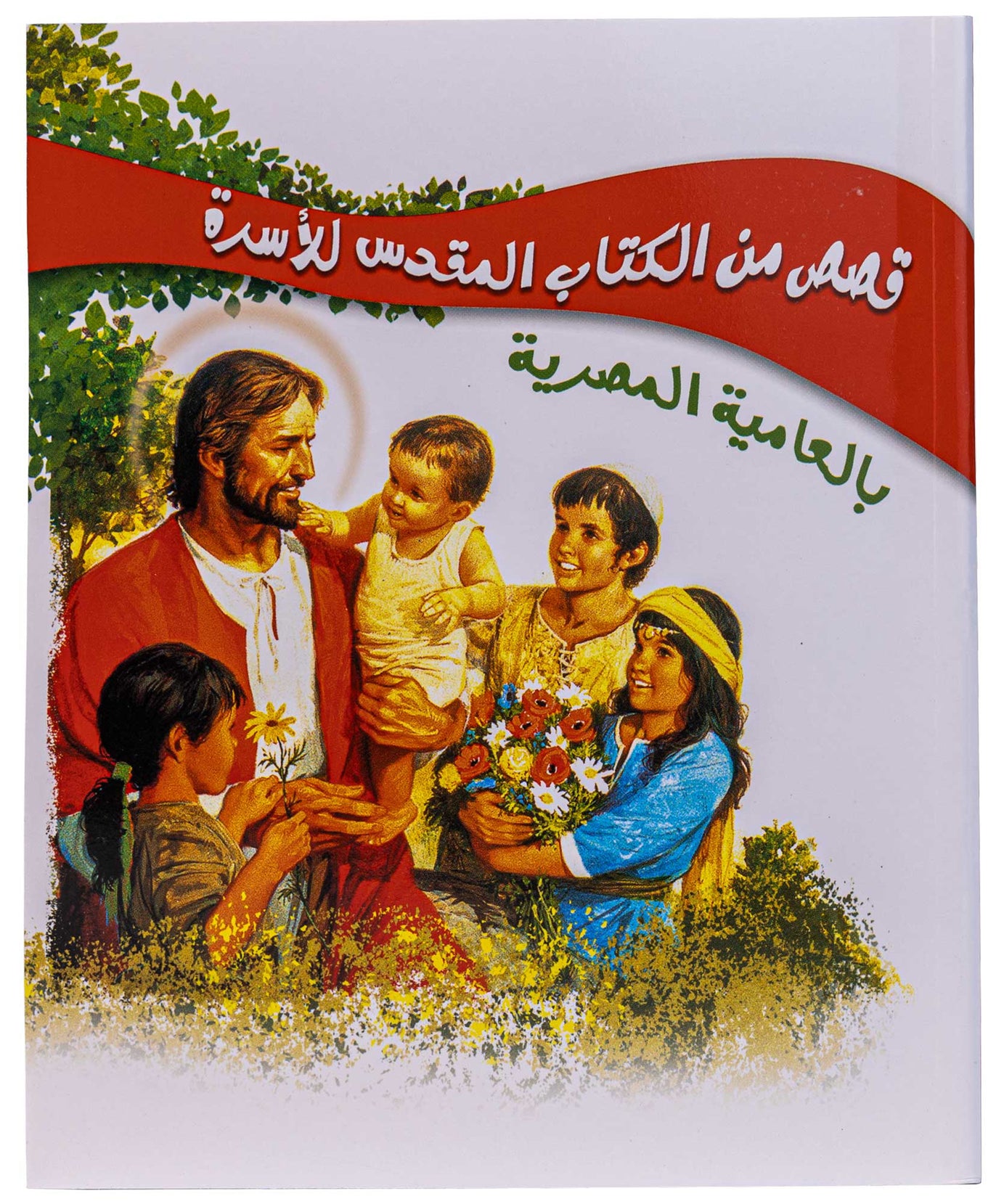 قصص من الكتاب المقدس للأسرة - بالعامية المصرية - غلاف خفيف
