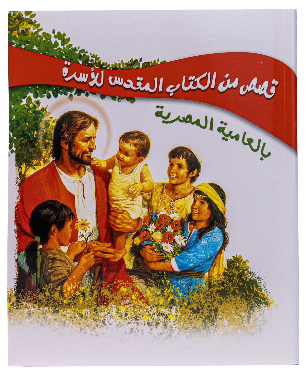 قصص من الكتاب المقدس للأسرة - بالعامية المصرية - غلاف خفيف