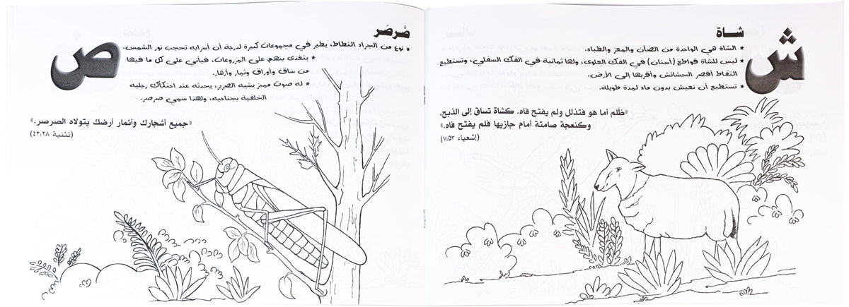 تلوين ا ب ج طيور وحيوانات ج2