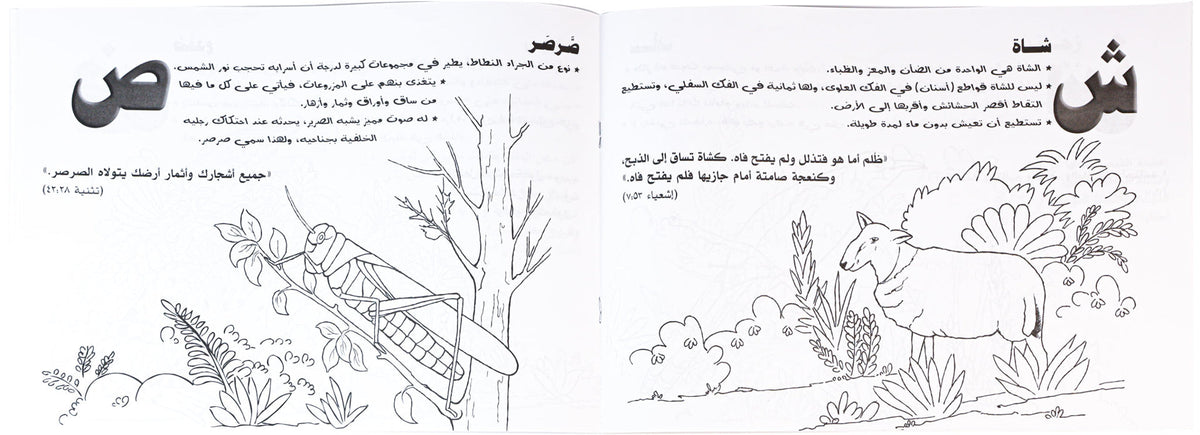تلوين ا ب ج طيور وحيوانات ج2